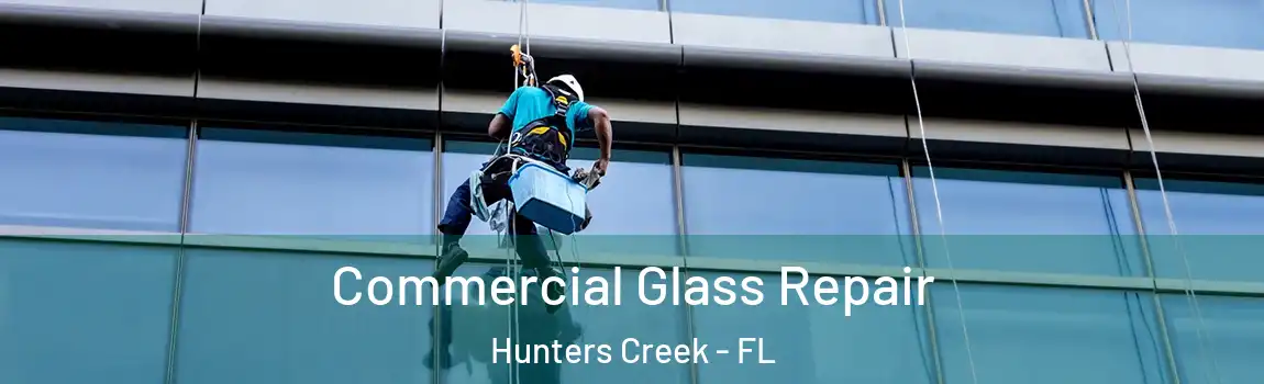 Commercial Glass Repair Hunters Creek - FL