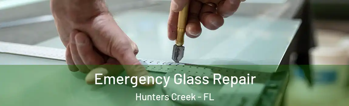  Emergency Glass Repair Hunters Creek - FL
