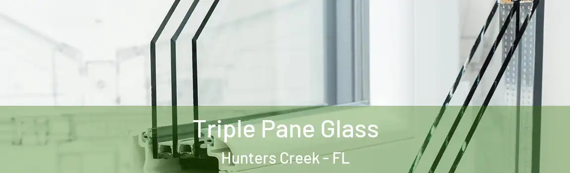  Triple Pane Glass Hunters Creek - FL
